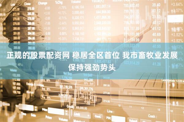 正规的股票配资网 稳居全区首位 我市畜牧业发展保持强劲势头