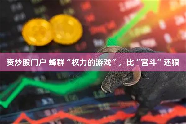 资炒股门户 蜂群“权力的游戏”，比“宫斗”还狠