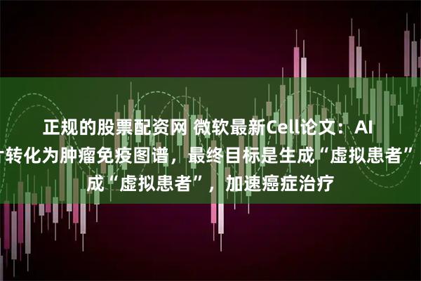 正规的股票配资网 微软最新Cell论文：AI 将常规病理切片转化为肿瘤免疫图谱，最终目标是生成“虚拟患者”，加速癌症治疗