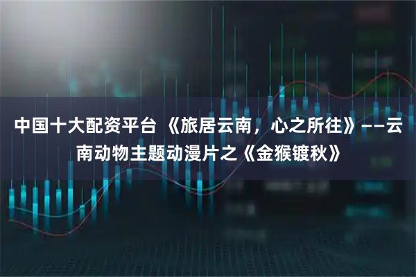中国十大配资平台 《旅居云南，心之所往》——云南动物主题动漫片之《金猴镀秋》