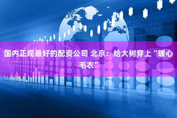 国内正规最好的配资公司 北京：给大树穿上“暖心毛衣”