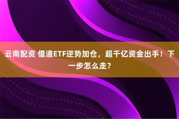云南配资 借道ETF逆势加仓，超千亿资金出手！下一步怎么走？